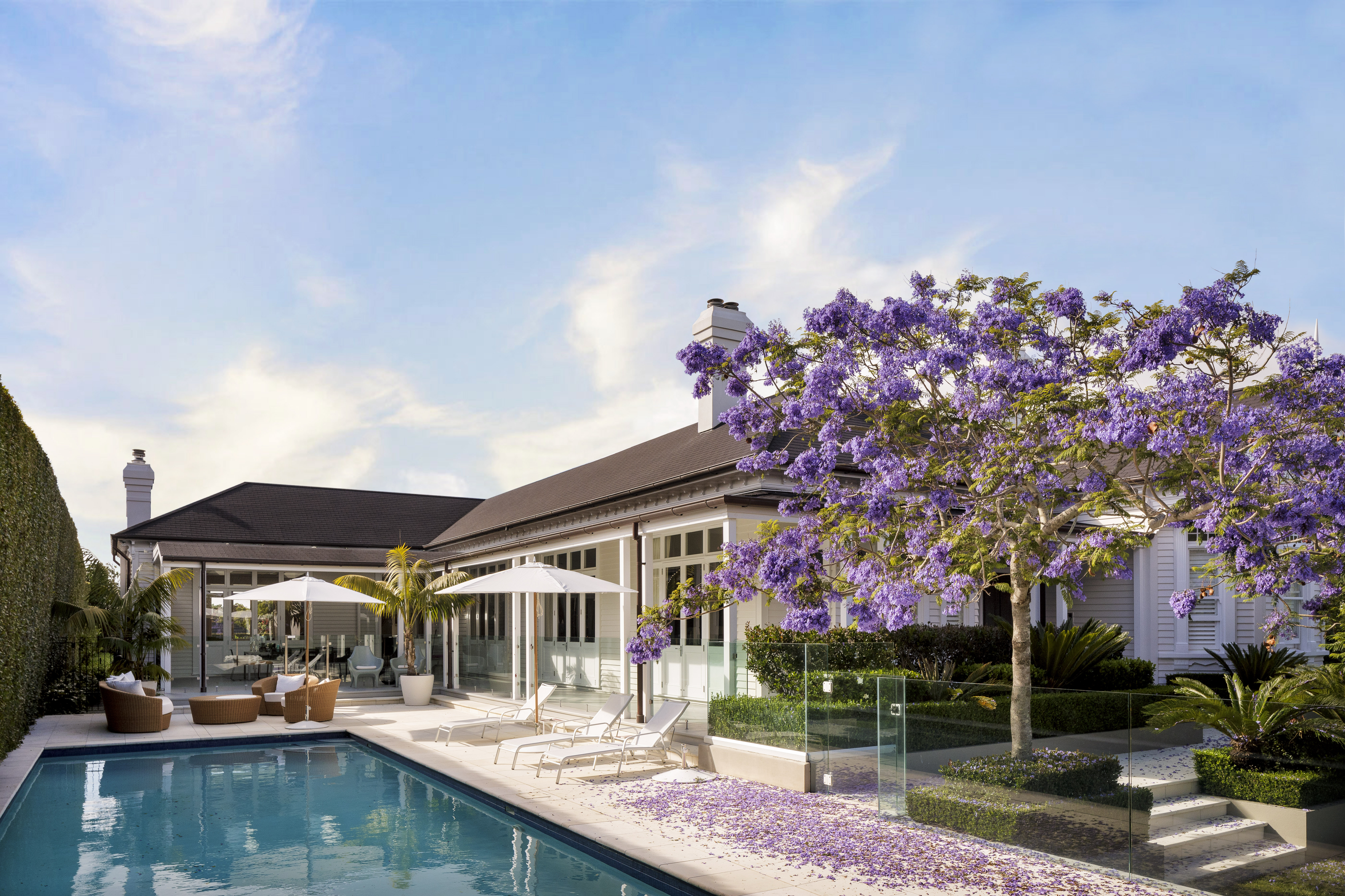 JACARANDA RETOUCHED DOW